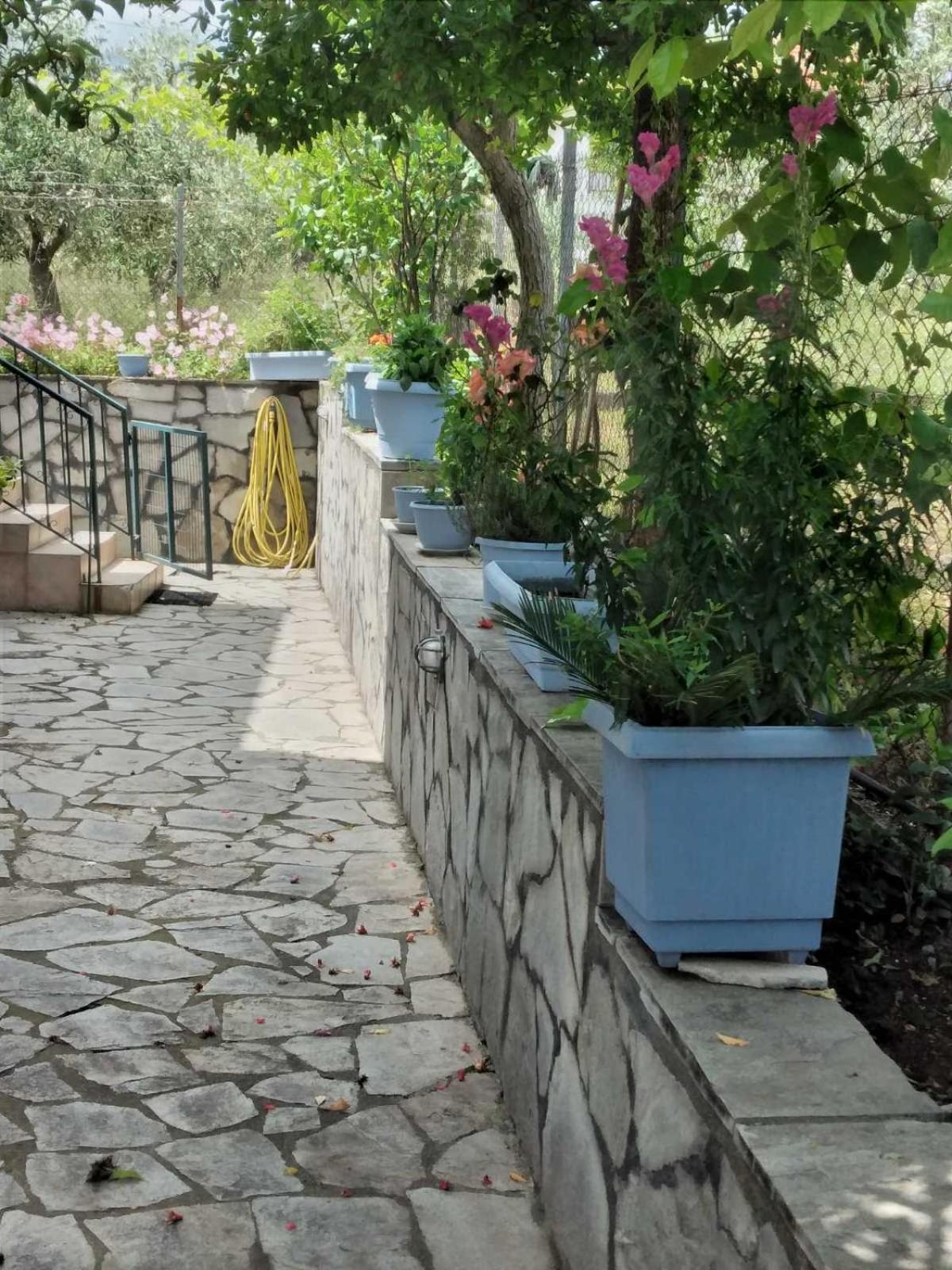 Villa Jenny Leptokarya  Exterior photo